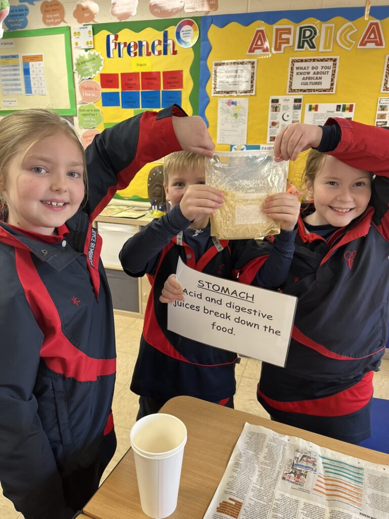 Budding scientists!, Copthill School