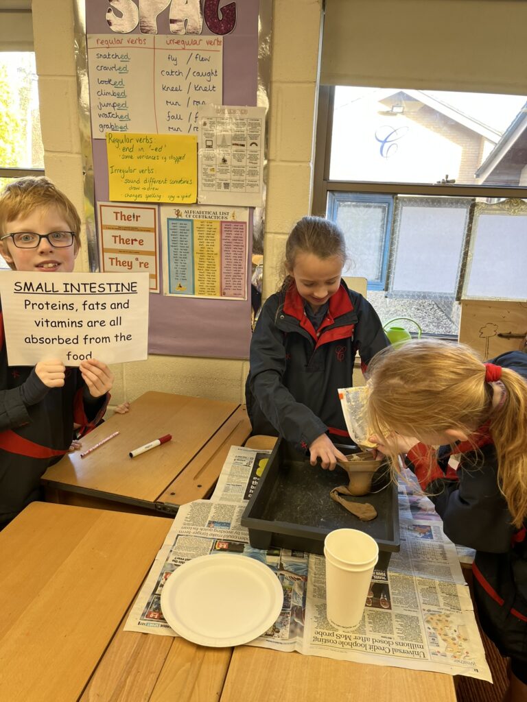 Budding scientists!, Copthill School