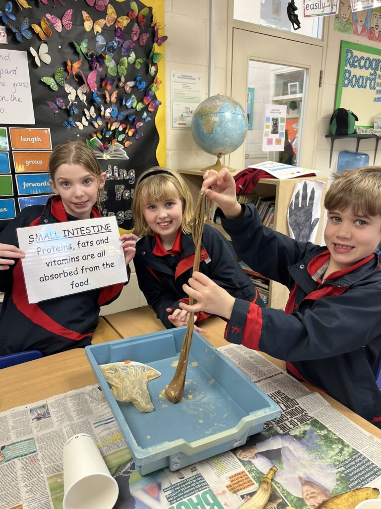 Budding scientists!, Copthill School