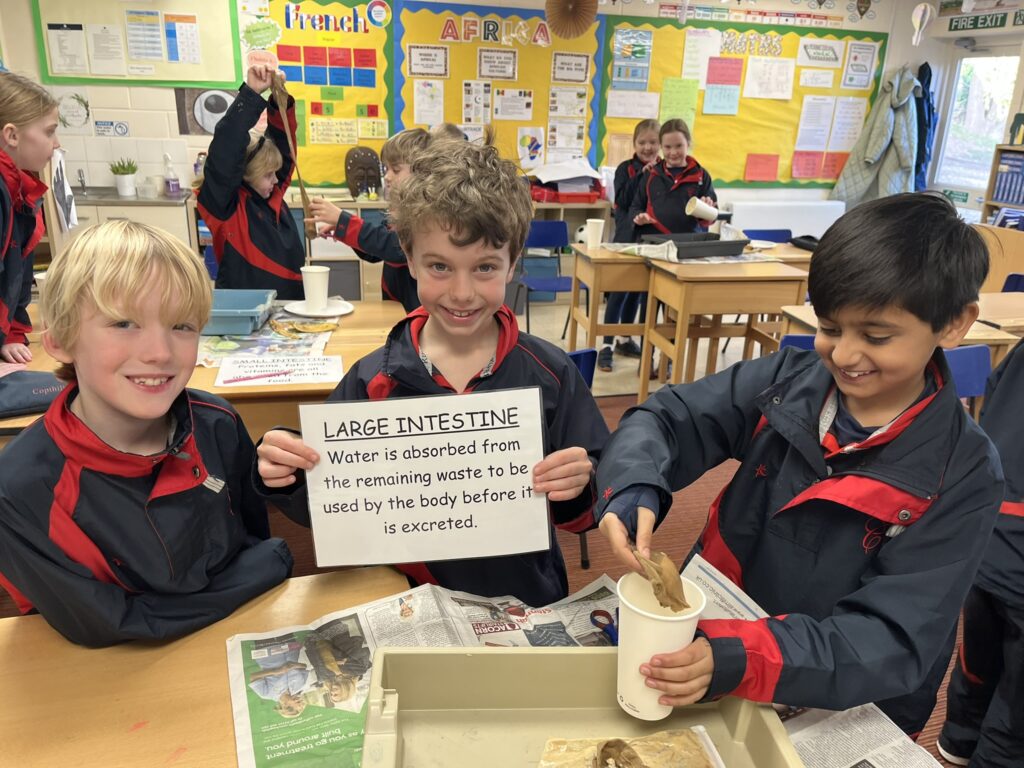 Budding scientists!, Copthill School