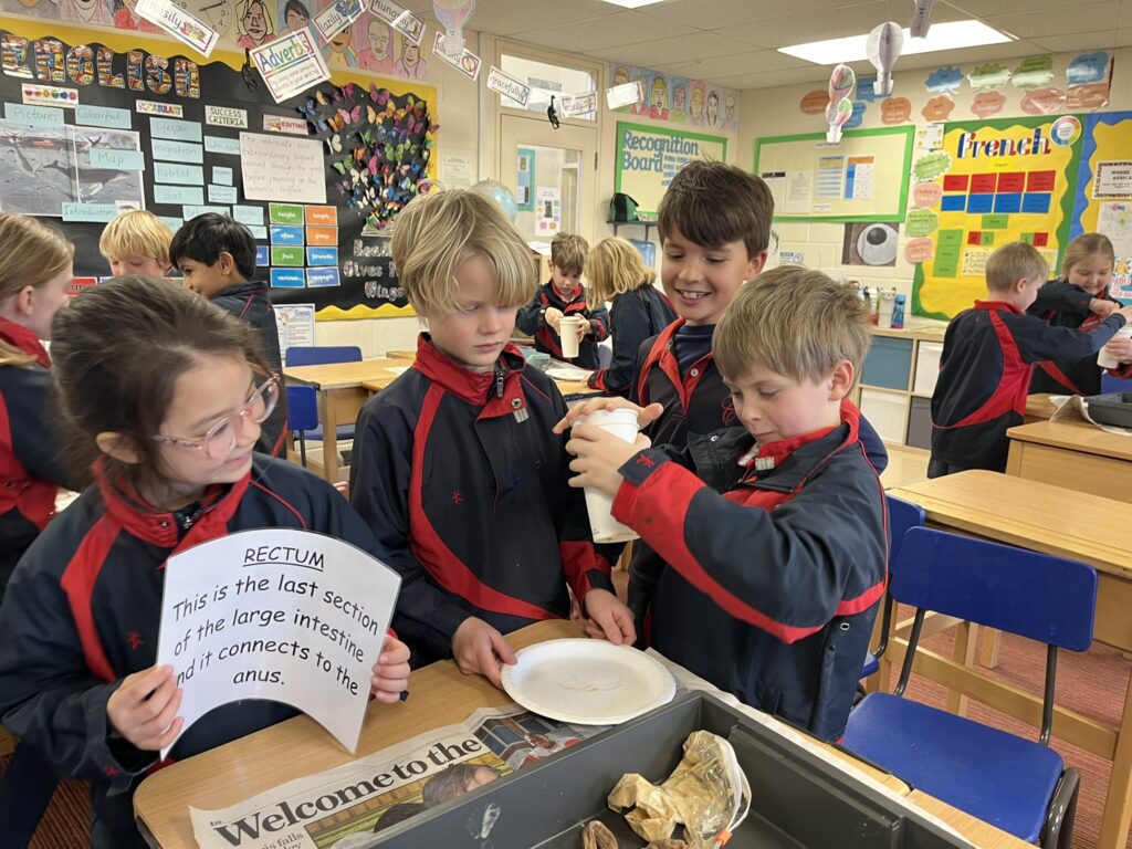 Budding scientists!, Copthill School