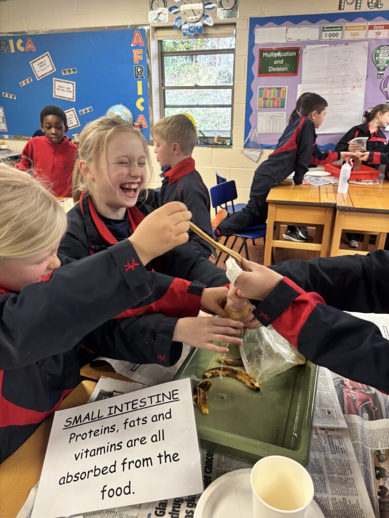 Budding scientists!, Copthill School