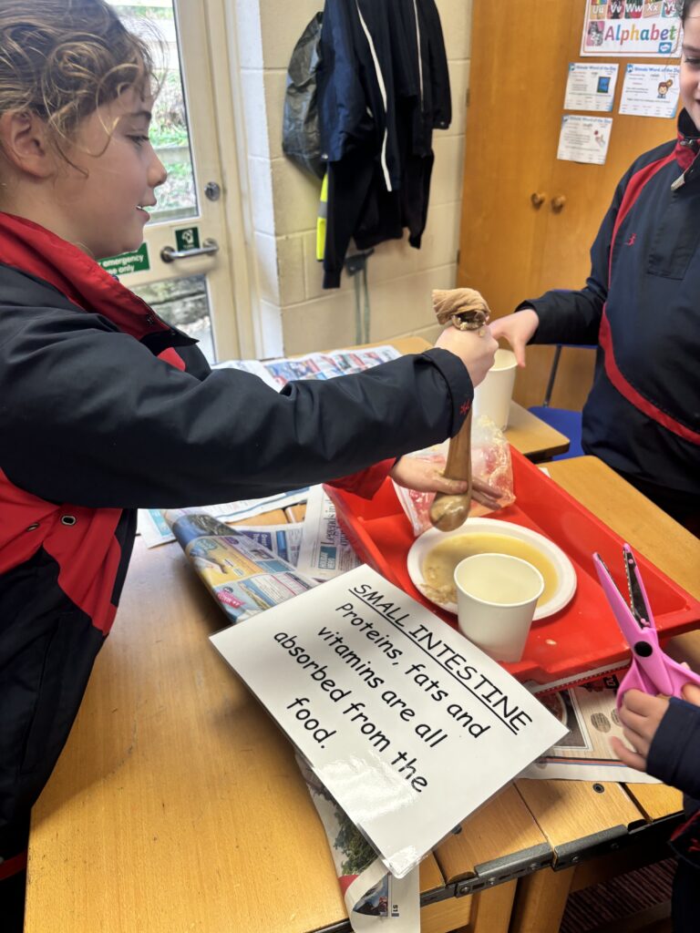 Budding scientists!, Copthill School