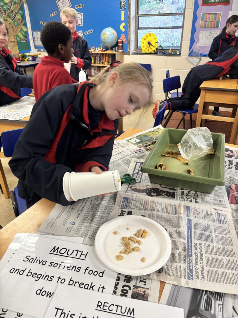 Budding scientists!, Copthill School