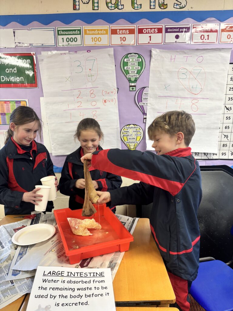 Budding scientists!, Copthill School