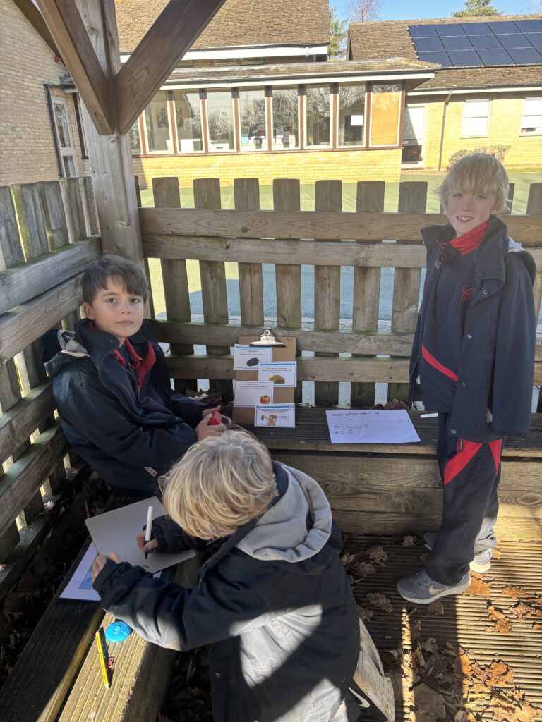 Budding scientists!, Copthill School