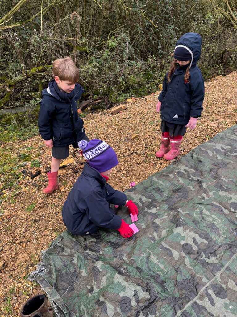 A fresh outside maths lesson in the great outdoors&#8230;, Copthill School