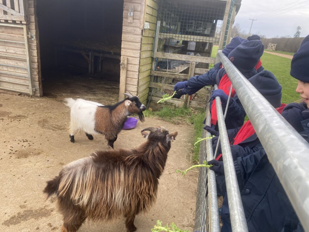 It&#8217;s been a chilly start!, Copthill School