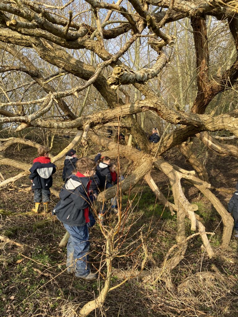 A little birdy told us&#8230;., Copthill School