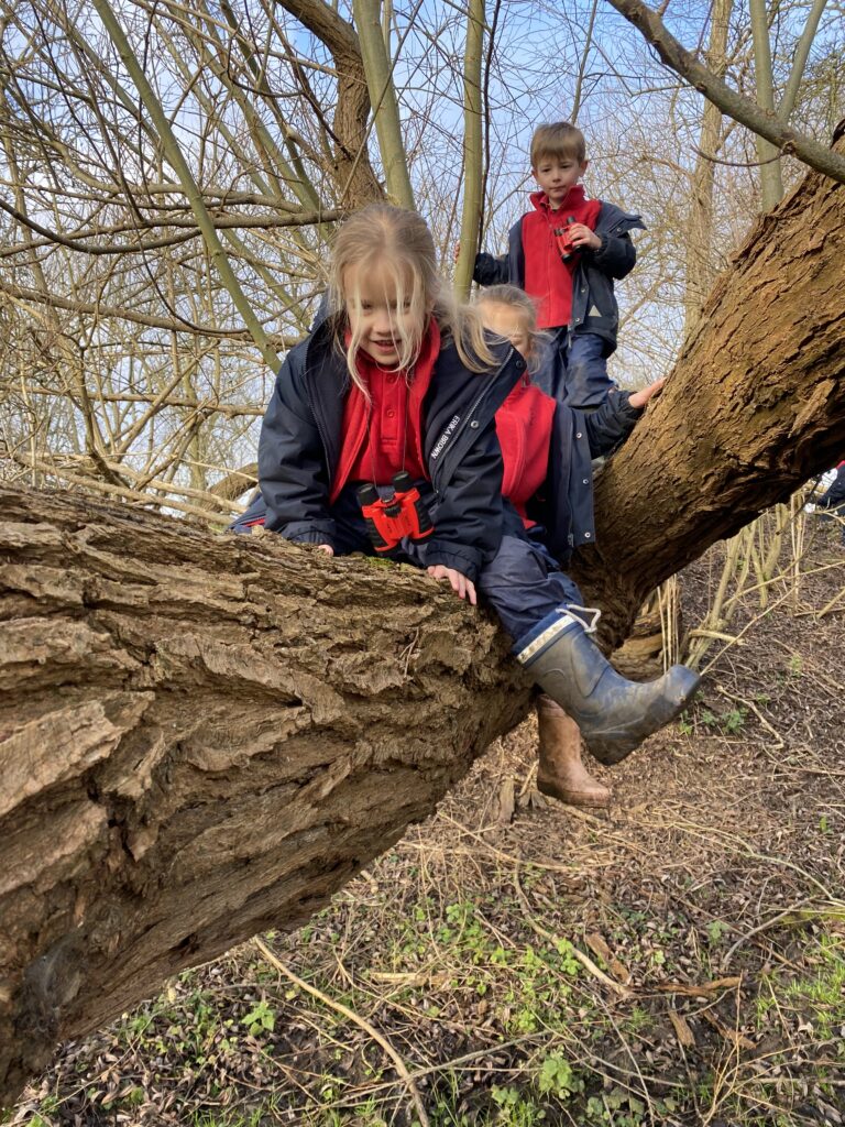 A little birdy told us&#8230;., Copthill School