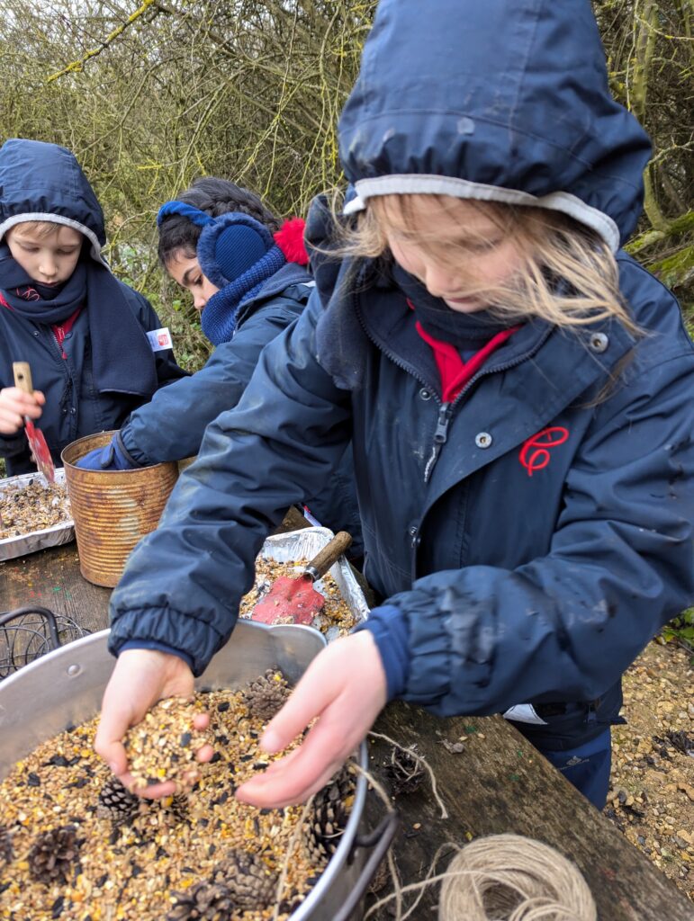 Feed the birds&#8230;.🐦, Copthill School