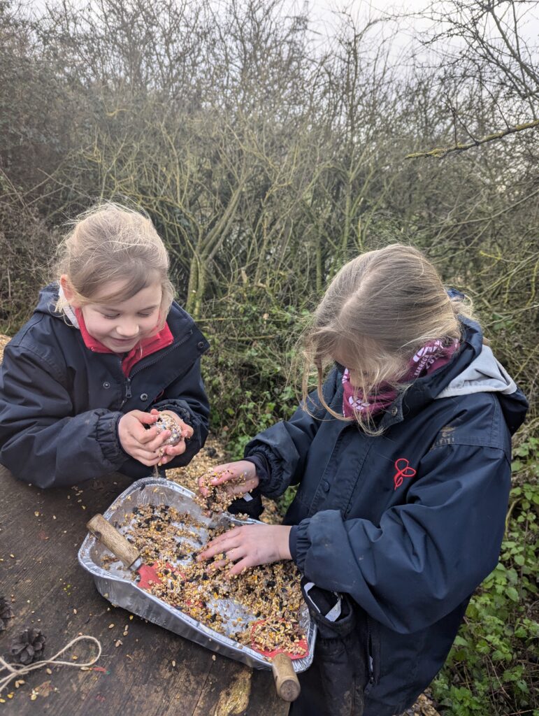 Feed the birds&#8230;.🐦, Copthill School