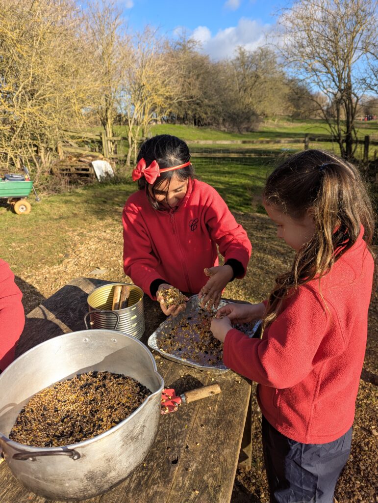 Feed the birds&#8230;.🐦, Copthill School