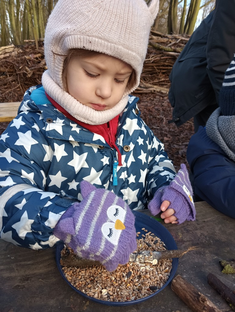 Bird Feeder, Copthill School