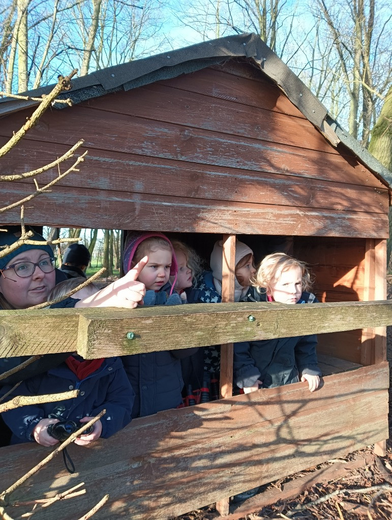 Bird Feeder, Copthill School