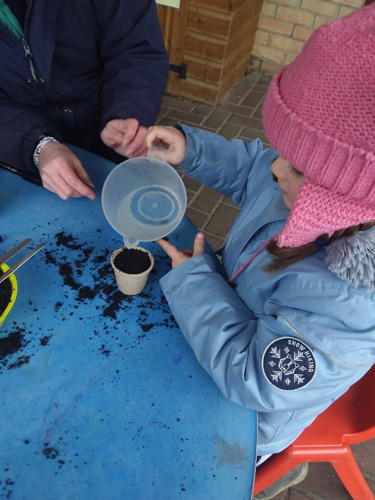 Green thumbs and fingers, Copthill School