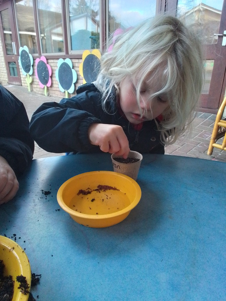 Green thumbs and fingers, Copthill School