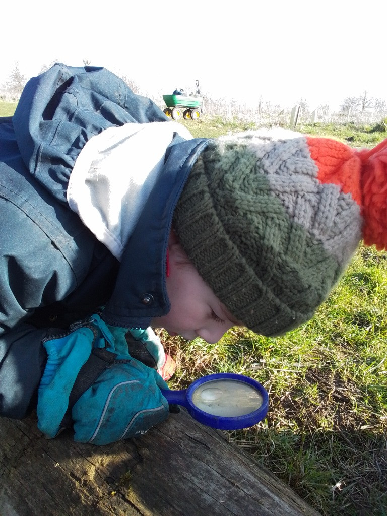 A Spot Of Spider Spotting!, Copthill School