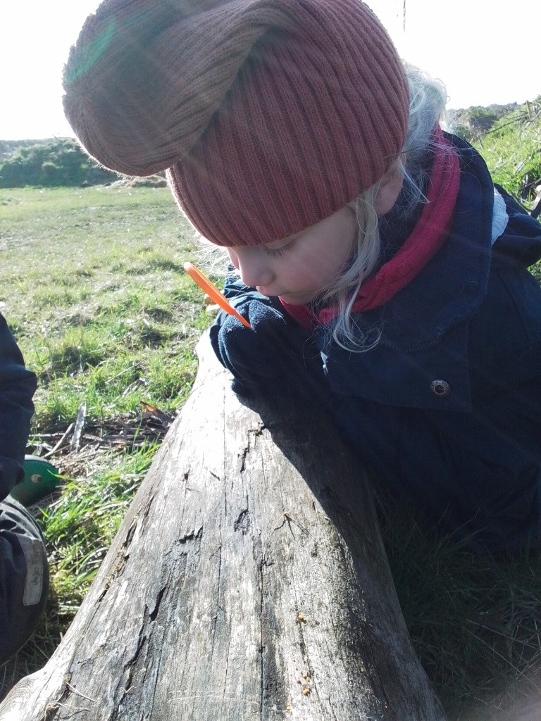 A Spot Of Spider Spotting!, Copthill School