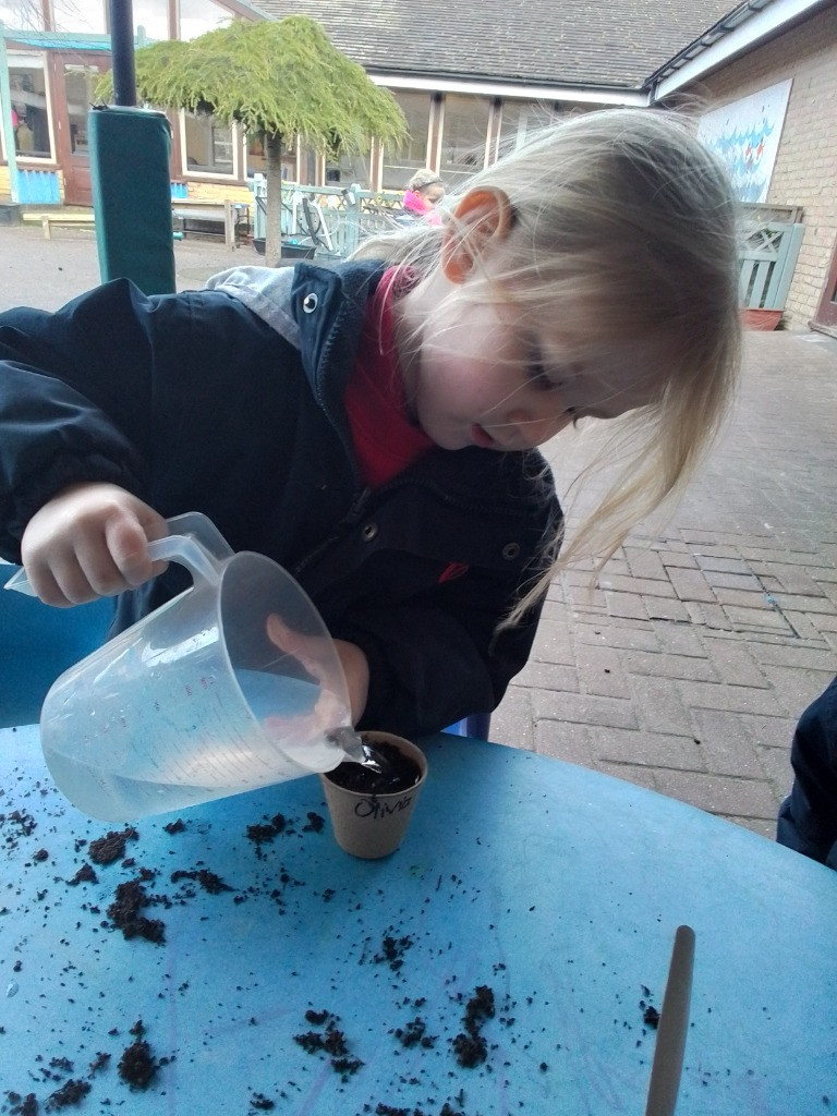 Green thumbs and fingers, Copthill School