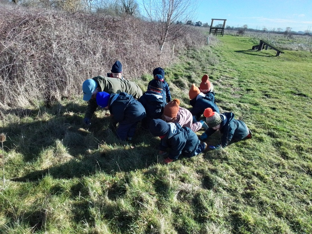 A Spot Of Spider Spotting!, Copthill School