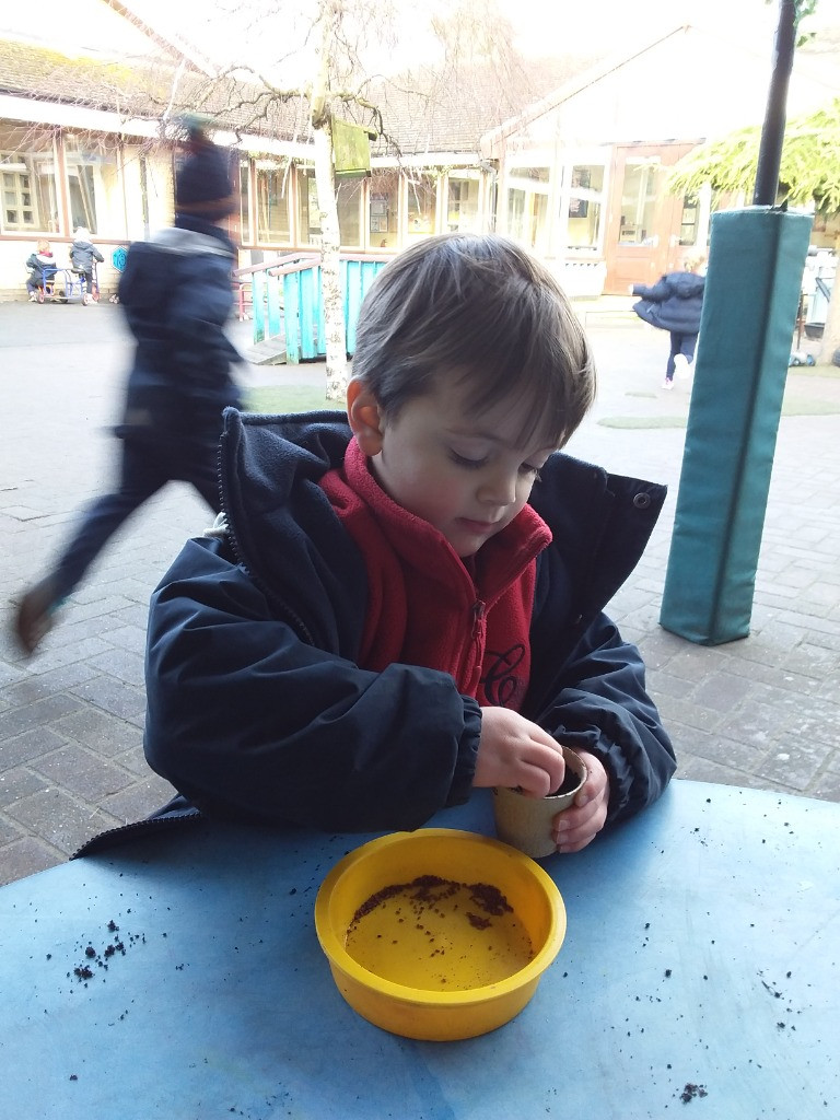 Green thumbs and fingers, Copthill School