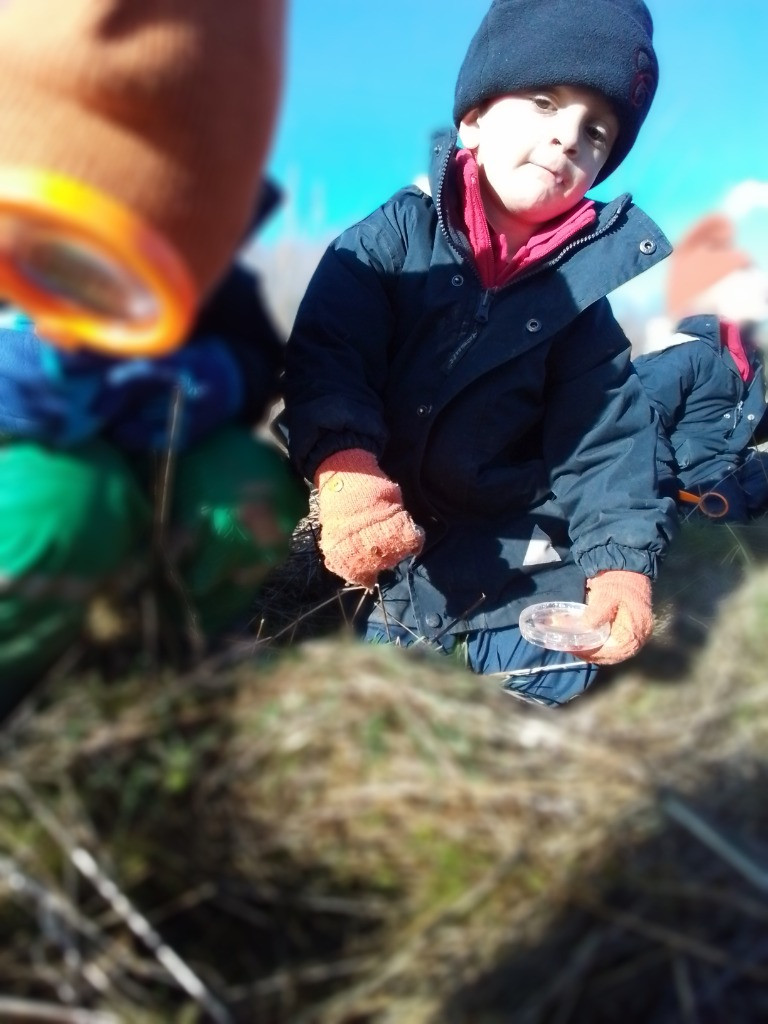 A Spot Of Spider Spotting!, Copthill School