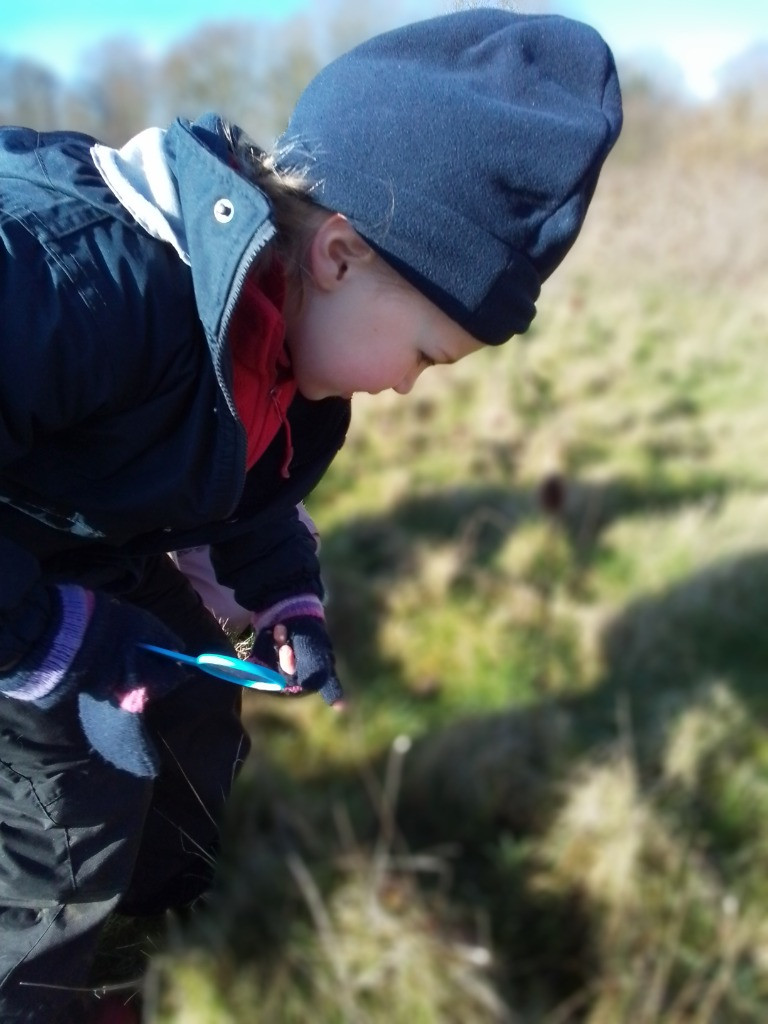 A Spot Of Spider Spotting!, Copthill School