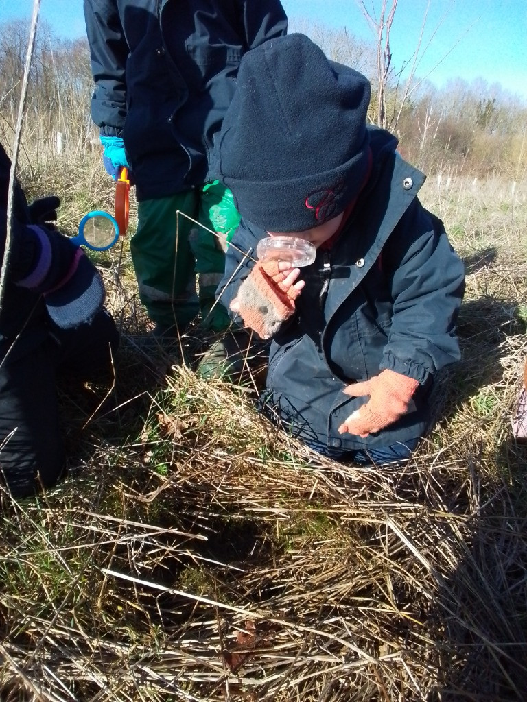 A Spot Of Spider Spotting!, Copthill School