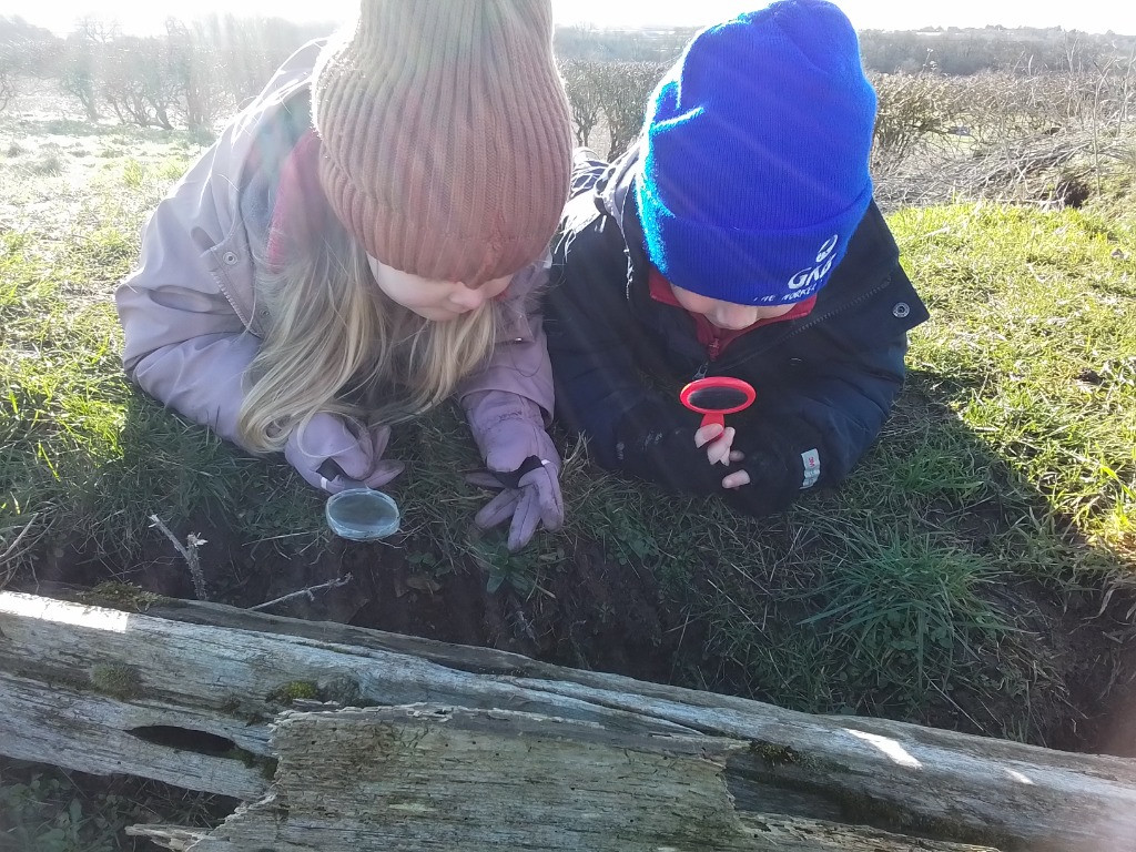 A Spot Of Spider Spotting!, Copthill School