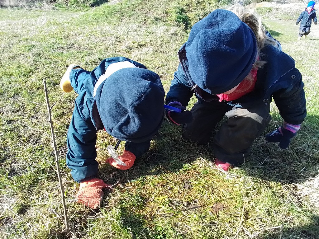 A Spot Of Spider Spotting!, Copthill School