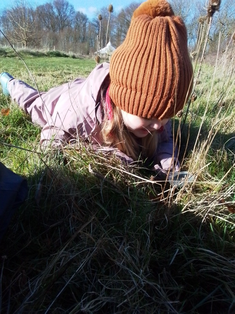 A Spot Of Spider Spotting!, Copthill School