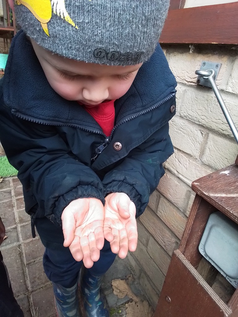 A Spot Of Spider Spotting!, Copthill School