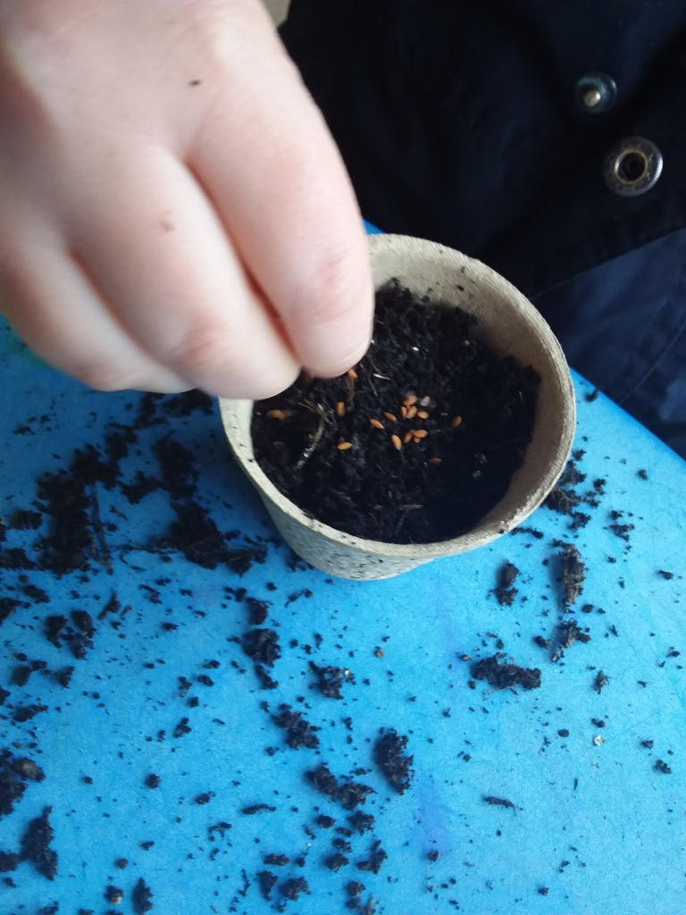 Green thumbs and fingers, Copthill School