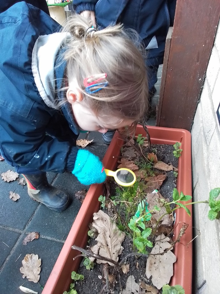 A Spot Of Spider Spotting!, Copthill School