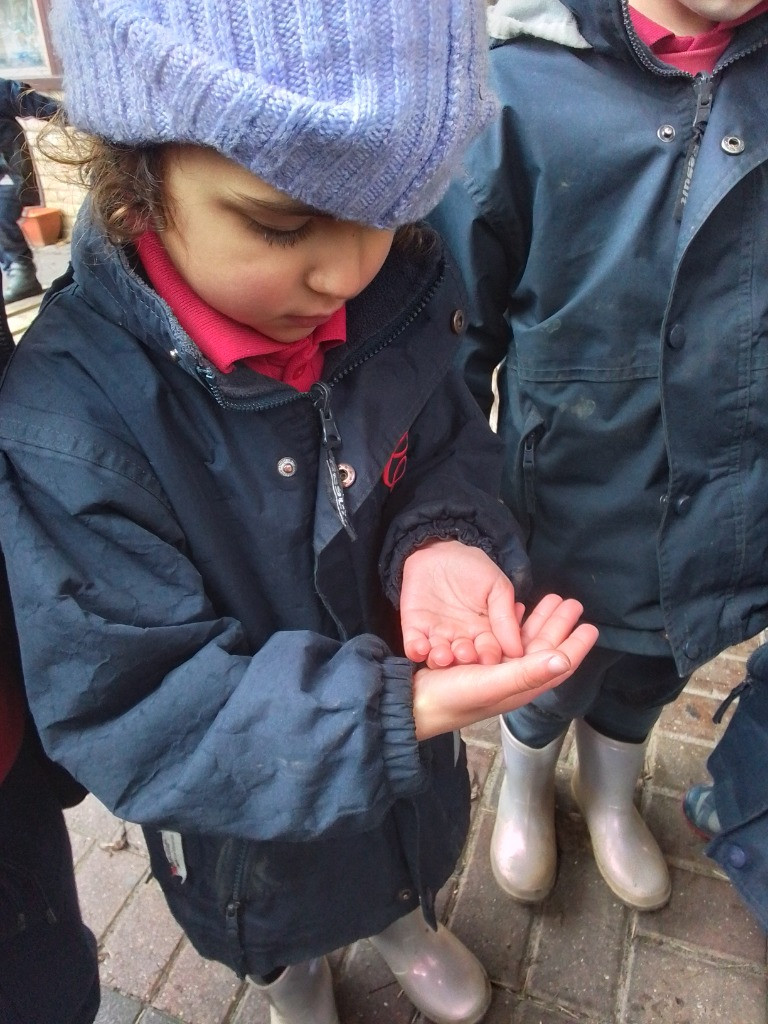 A Spot Of Spider Spotting!, Copthill School