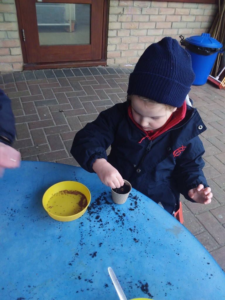 Green thumbs and fingers, Copthill School