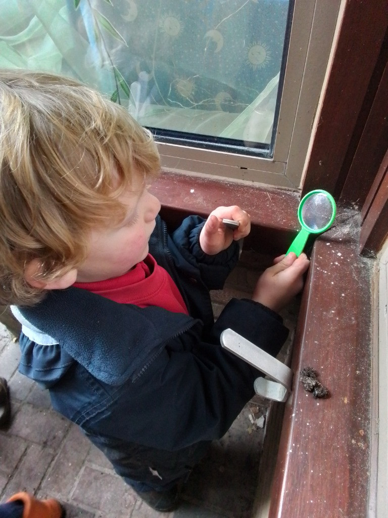 A Spot Of Spider Spotting!, Copthill School