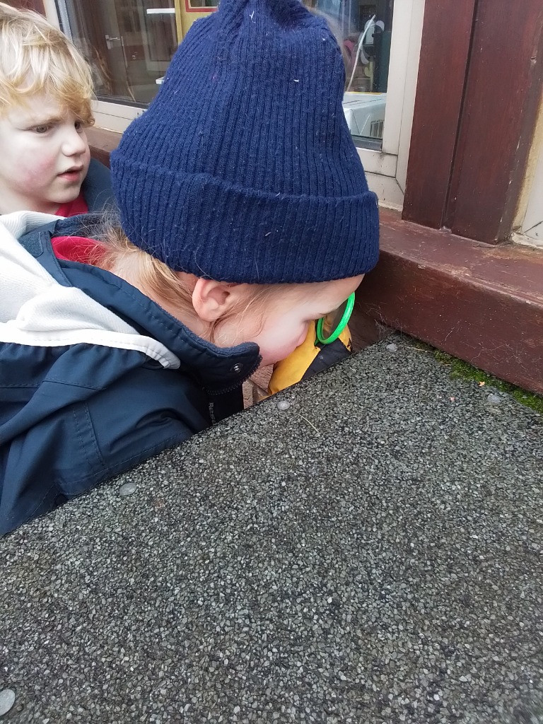 A Spot Of Spider Spotting!, Copthill School