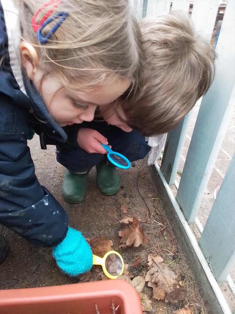 A Spot Of Spider Spotting!, Copthill School