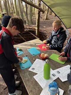 Y6 Paella-making, Copthill School