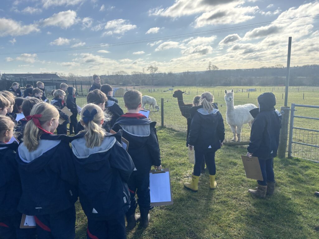 Journey into the unknown, Copthill School