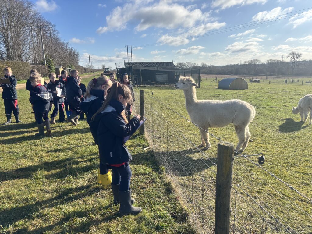 Journey into the unknown, Copthill School