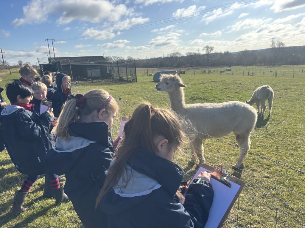 Journey into the unknown, Copthill School