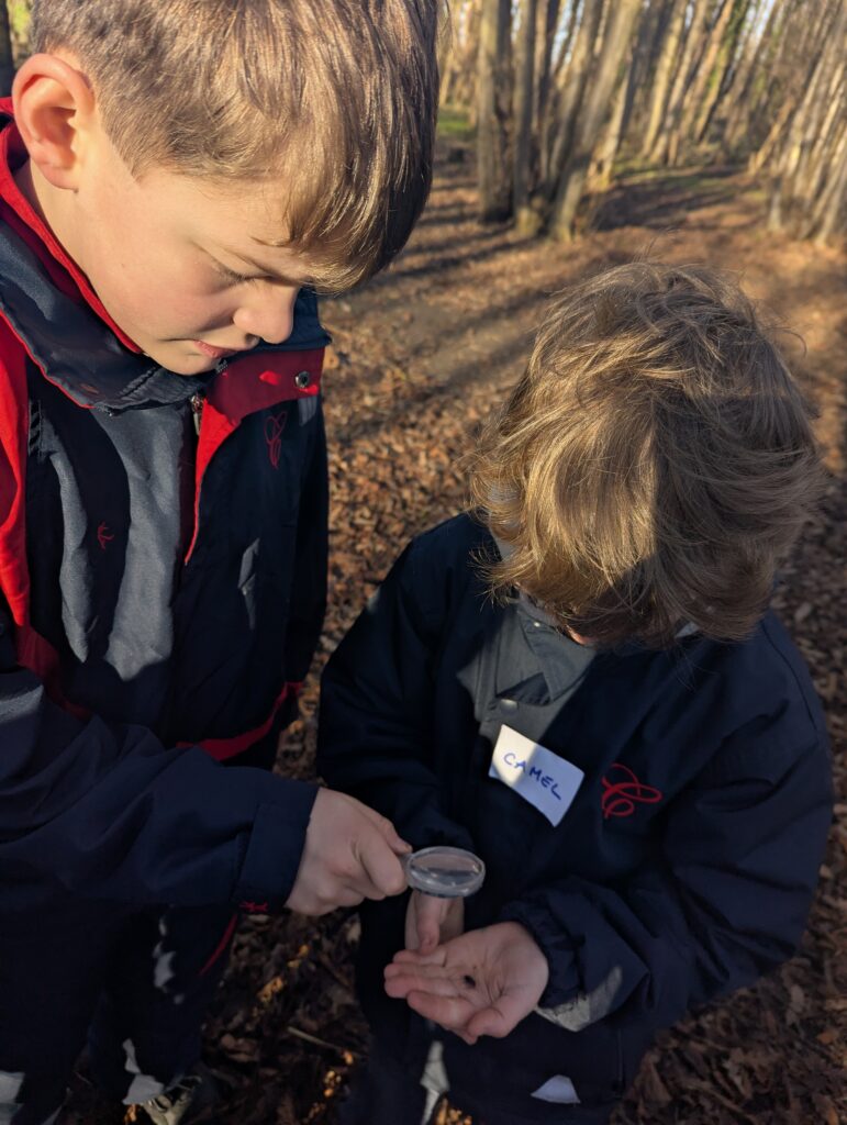 5W explore classification, Copthill School