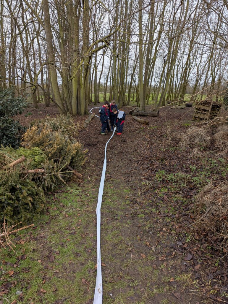 Y5 GOAL- investigating the solar system, Copthill School