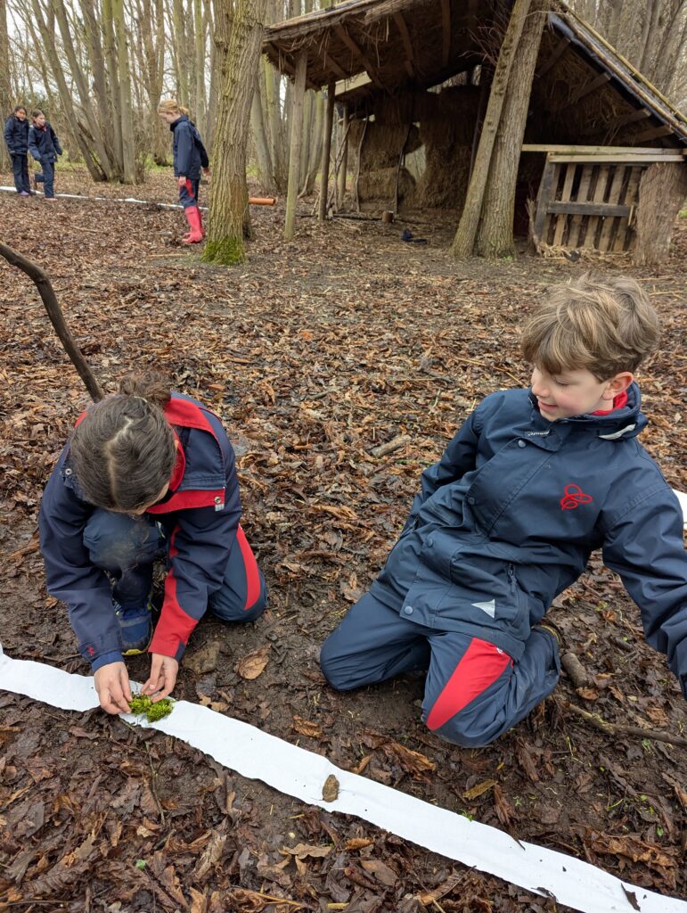 Y5 GOAL- investigating the solar system, Copthill School