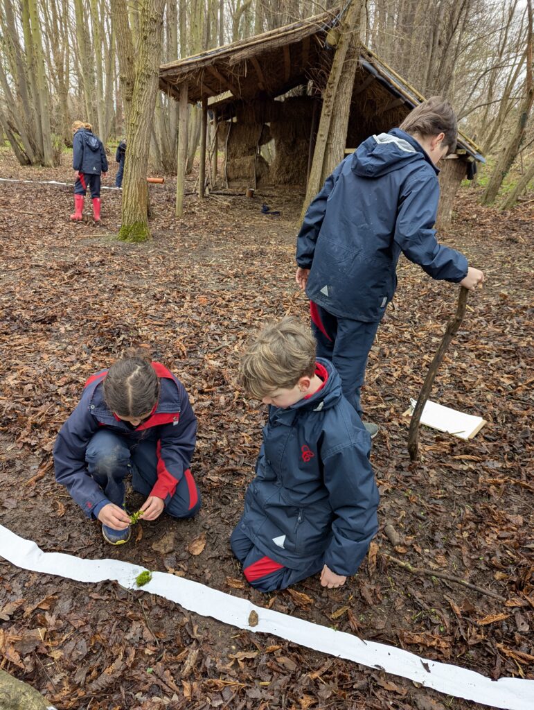 Y5 GOAL- investigating the solar system, Copthill School