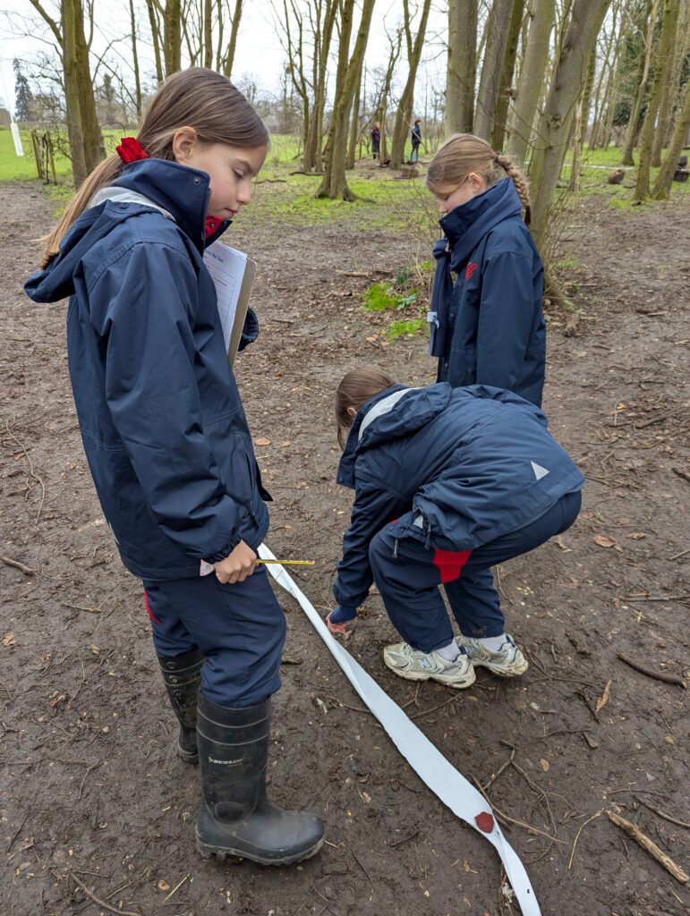 Y5 GOAL- investigating the solar system, Copthill School