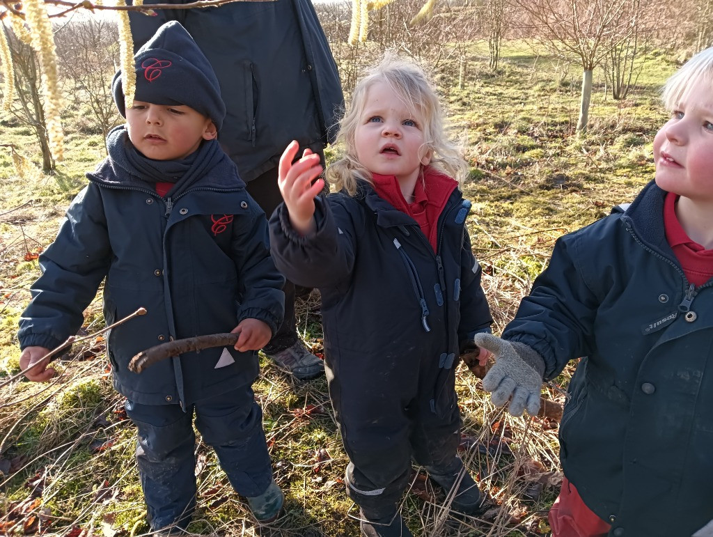 Looking for signs of Spring, Copthill School